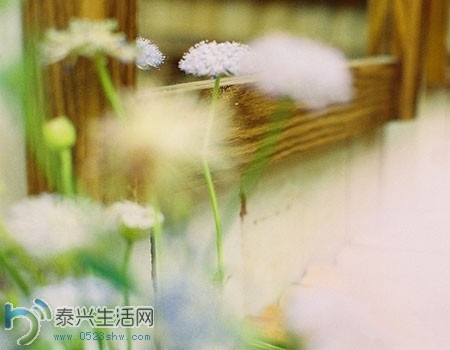74FF009A1D71_.jpg