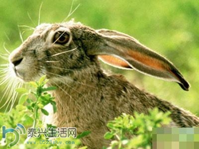 20140303063224595.jpg