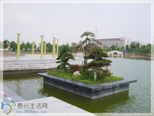 S6008632.jpg