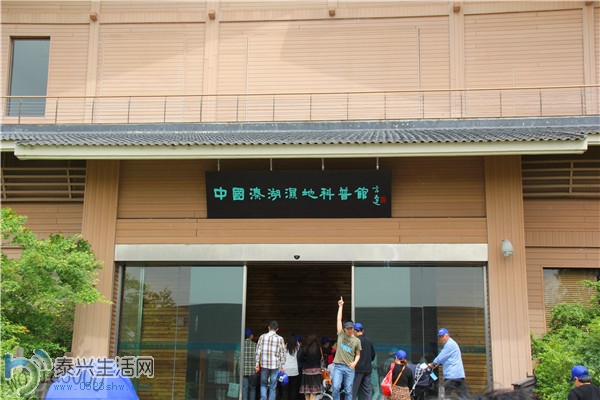 82.jpg