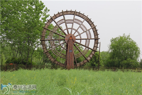131.jpg