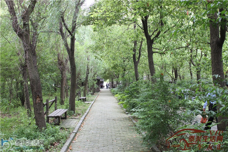 IMG_0363.jpg