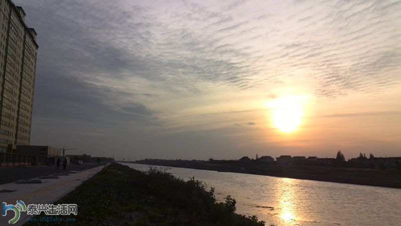 IMG_20140509_180947.jpg