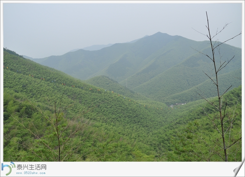 DSC_2186.jpg