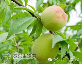 QQͼƬ20140704145051.jpg