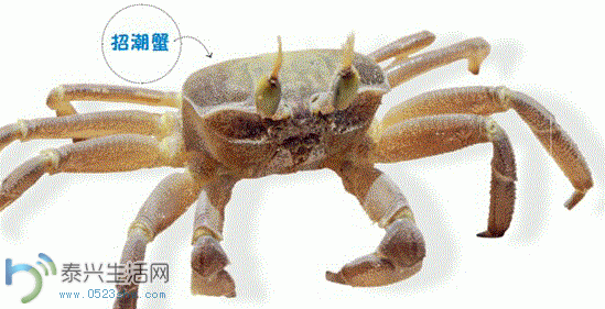 3.GIF