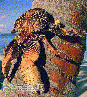 10.GIF