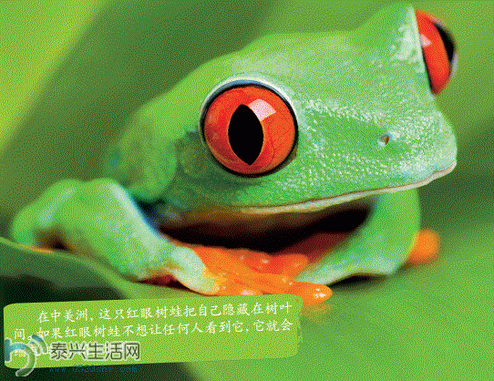 2.GIF
