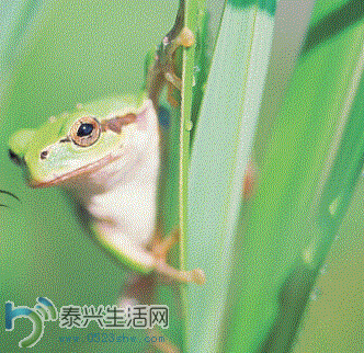 7.GIF