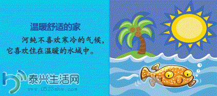 6.GIF