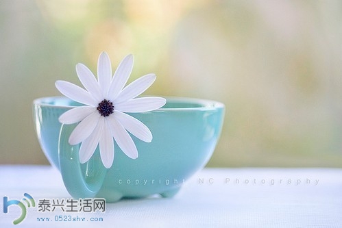 20111028172918_fsxwQ.thumb.600_0.jpg
