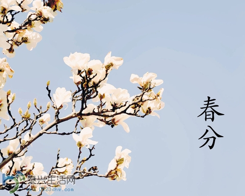 25893_500x500.jpg