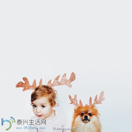 005xpHs3gw1eqnll35h0pj30hs0hs0tf.jpg