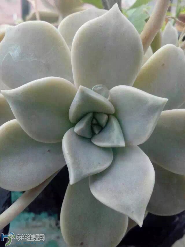 image.jpg