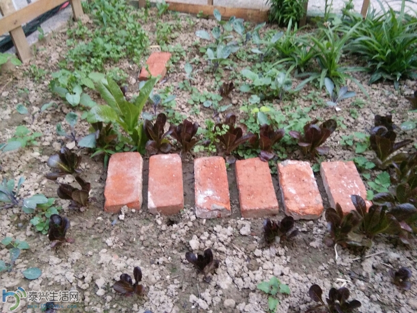 125013uz2ylbjkpkg10kk2.jpg