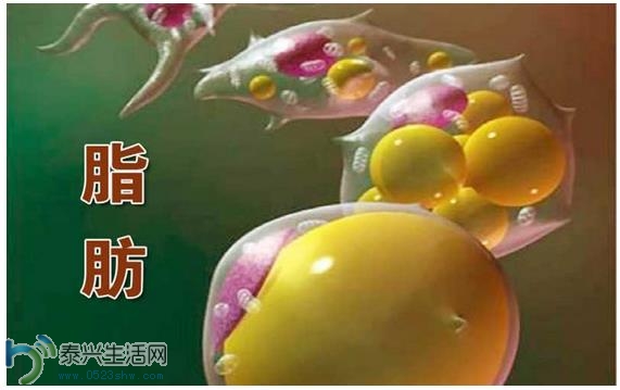 360ͼ20150701105612108.jpg