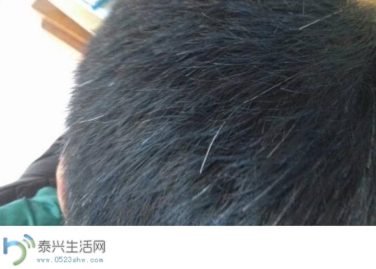 360ͼ20151102105507309.jpg