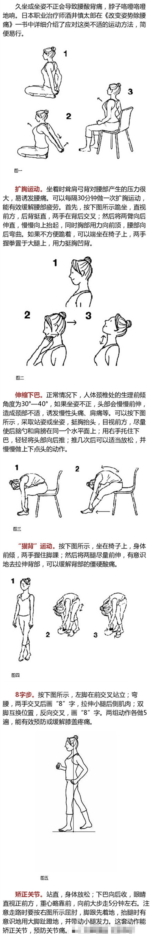 69bdf737jw1f1bmo6jhnzj20c326zjyr.jpg