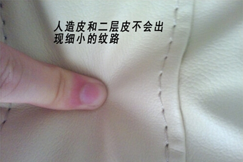 a_376847241.jpg