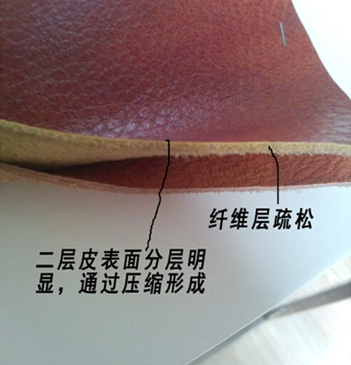 a_376847253.jpg