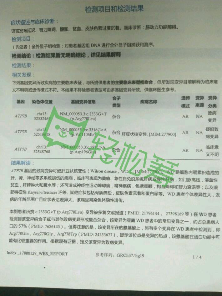 mmexport1505224069665.jpeg