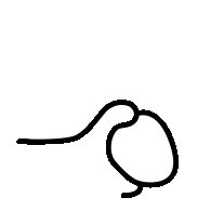 w18.jpg