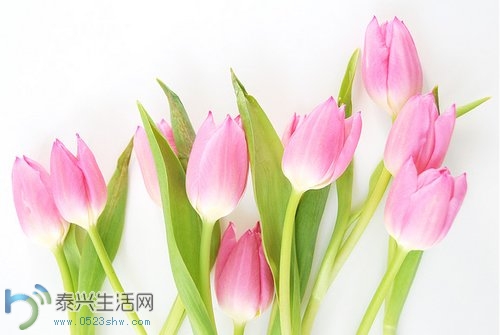 7B1374A032F2.jpg