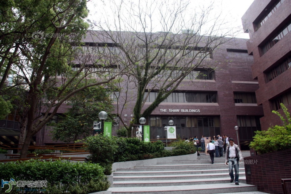 2841_342024_619713.jpg