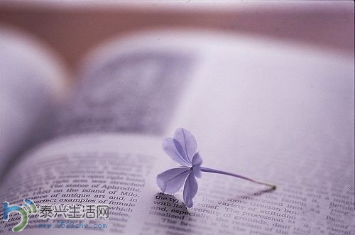 79C6375A42E8_.jpg