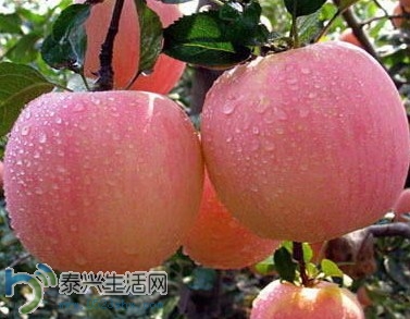 7C6ABFDD13B1.jpg