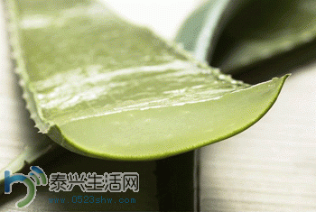 6F79E90E6479.gif