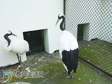 20140123105655fc9b4.jpg