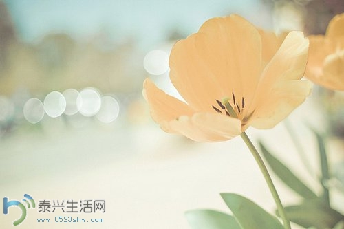 7136F0095EA2.jpg
