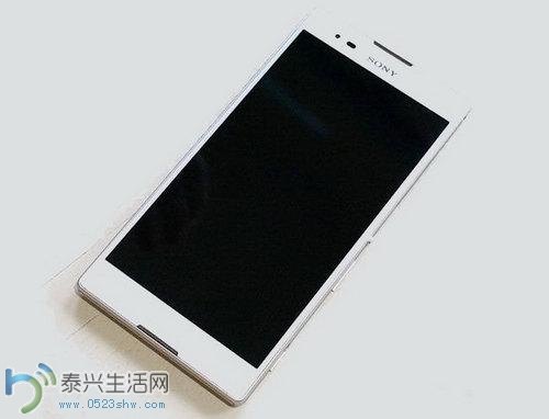 98100887.jpg