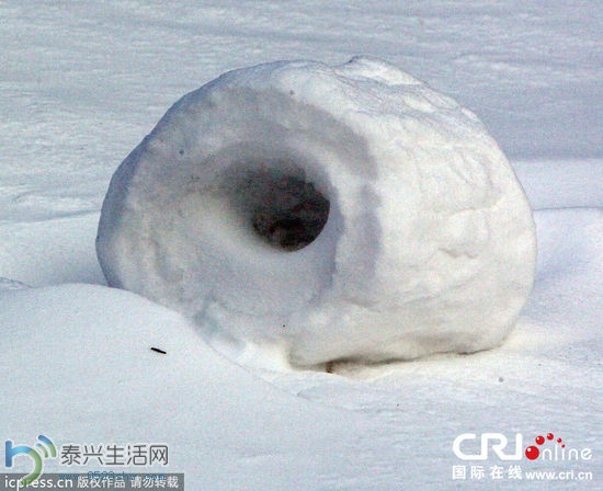 EF2FB9629693FEB73334C531ABF6451B.jpg