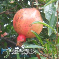 7A050F60A84C.jpg