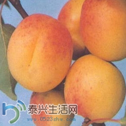 7A79C1D7EBBC.jpg