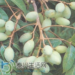 7D05FEAA311D.jpg