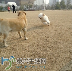 QQͼ20140217101308.png