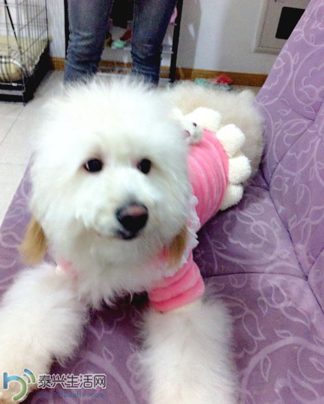 QQͼ20140217101327.png