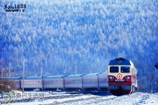 72A5205CBF46.jpg