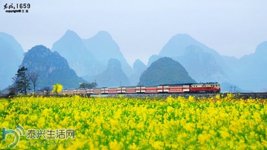 725076CD7A56.jpg