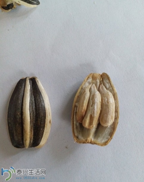 QQͼƬ20140224154807.jpg