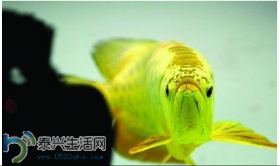 QQͼ20140301110018.png
