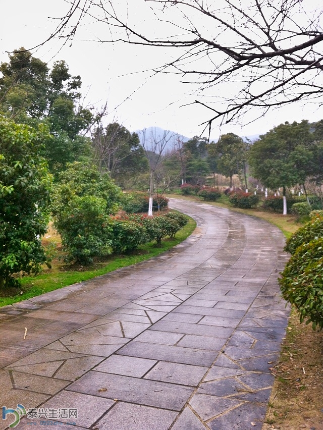 Ƭ2013 1876.jpg