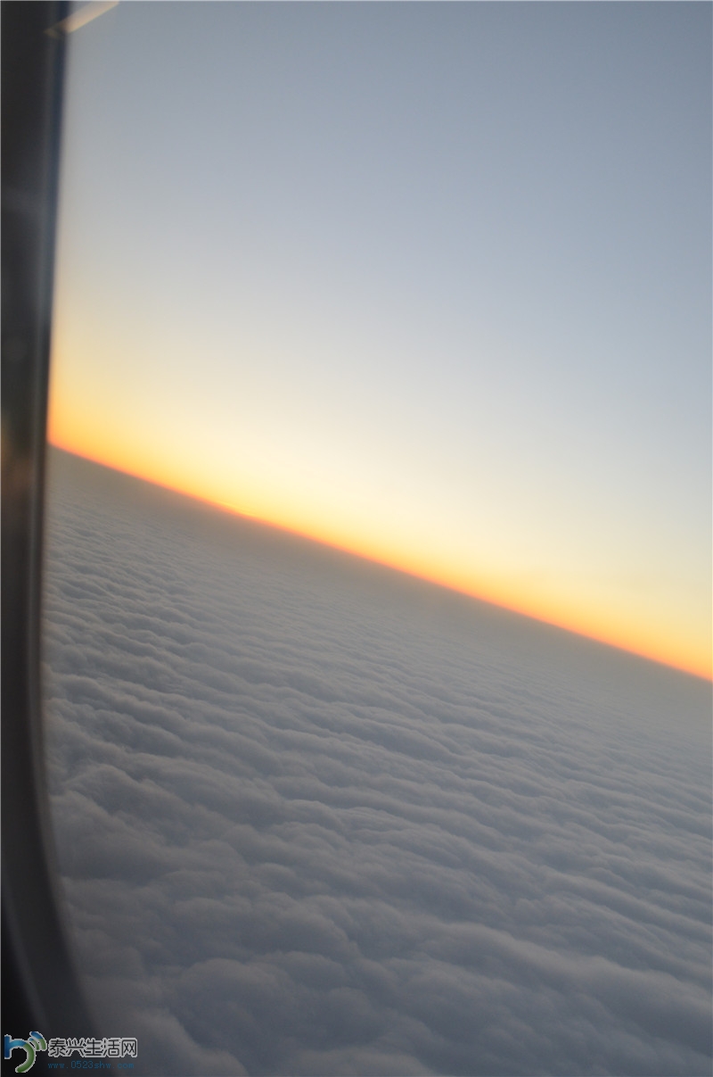DSC_0041.jpg