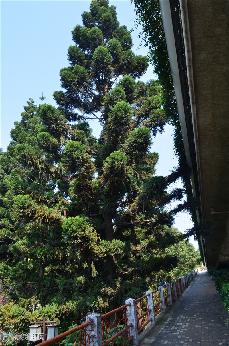 DSC_0070.jpg