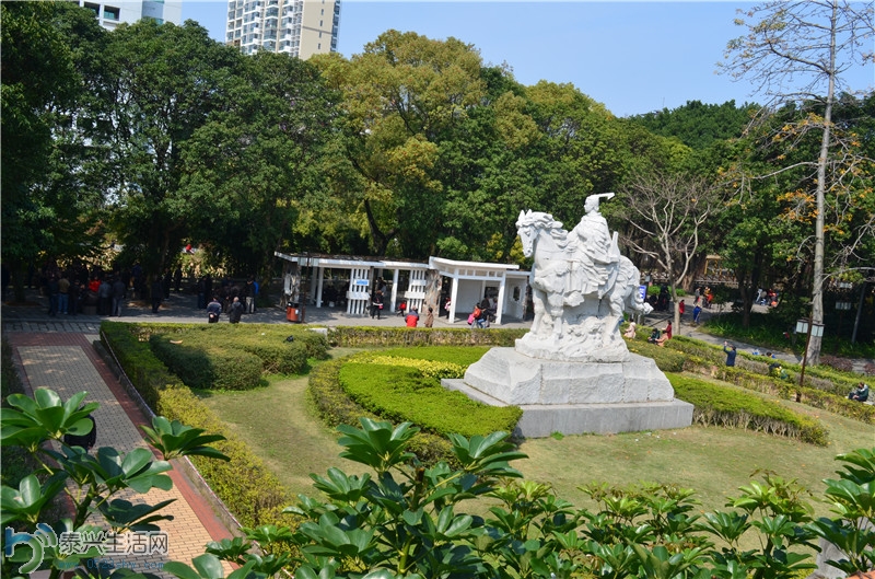 DSC_0072.jpg
