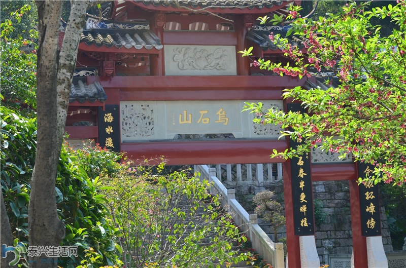 DSC_0073.jpg