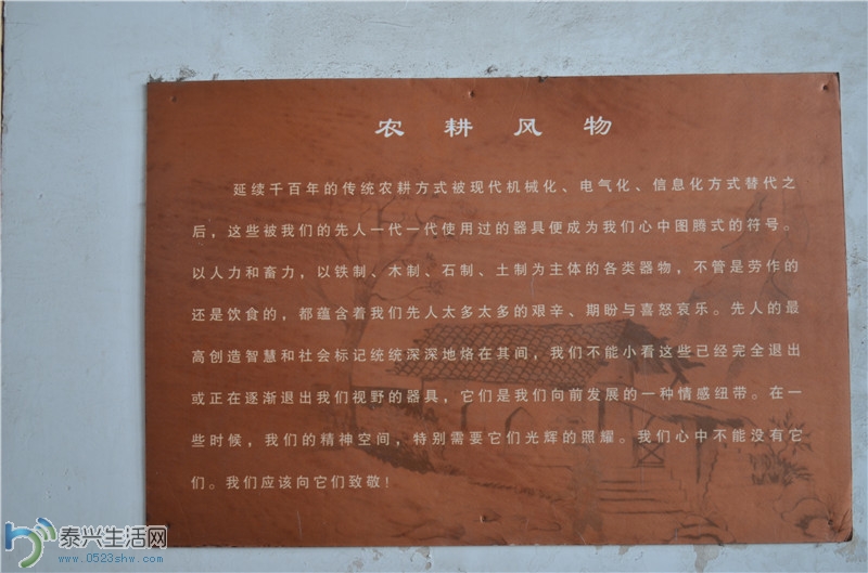 DSC_0101.jpg